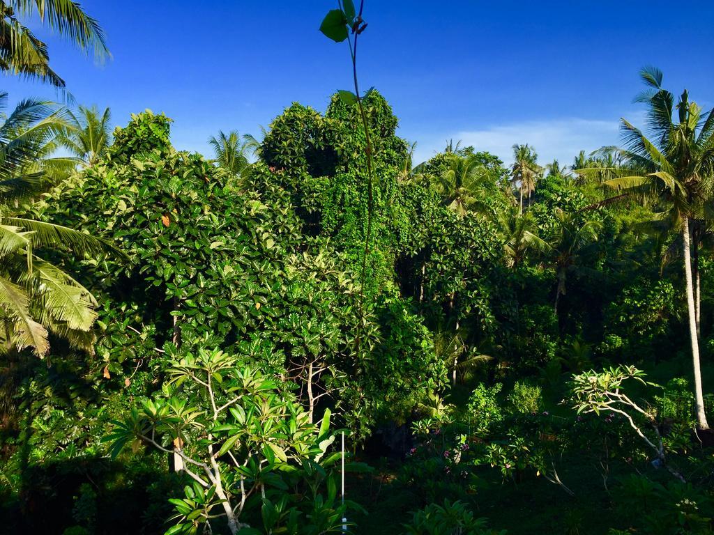 Tirta Arum Ubud Extérieur photo